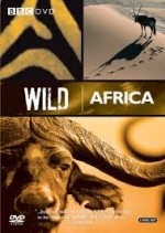 Wild Africa - Duplo