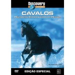 Cavalos - Histricos Companheiros do Homens