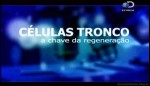 Celulas Tronco  A Chave da Renerao -3 dvds  Excelente !!