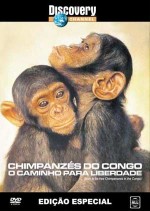 Chipanzs do Congo - O Caminho para Liberdade